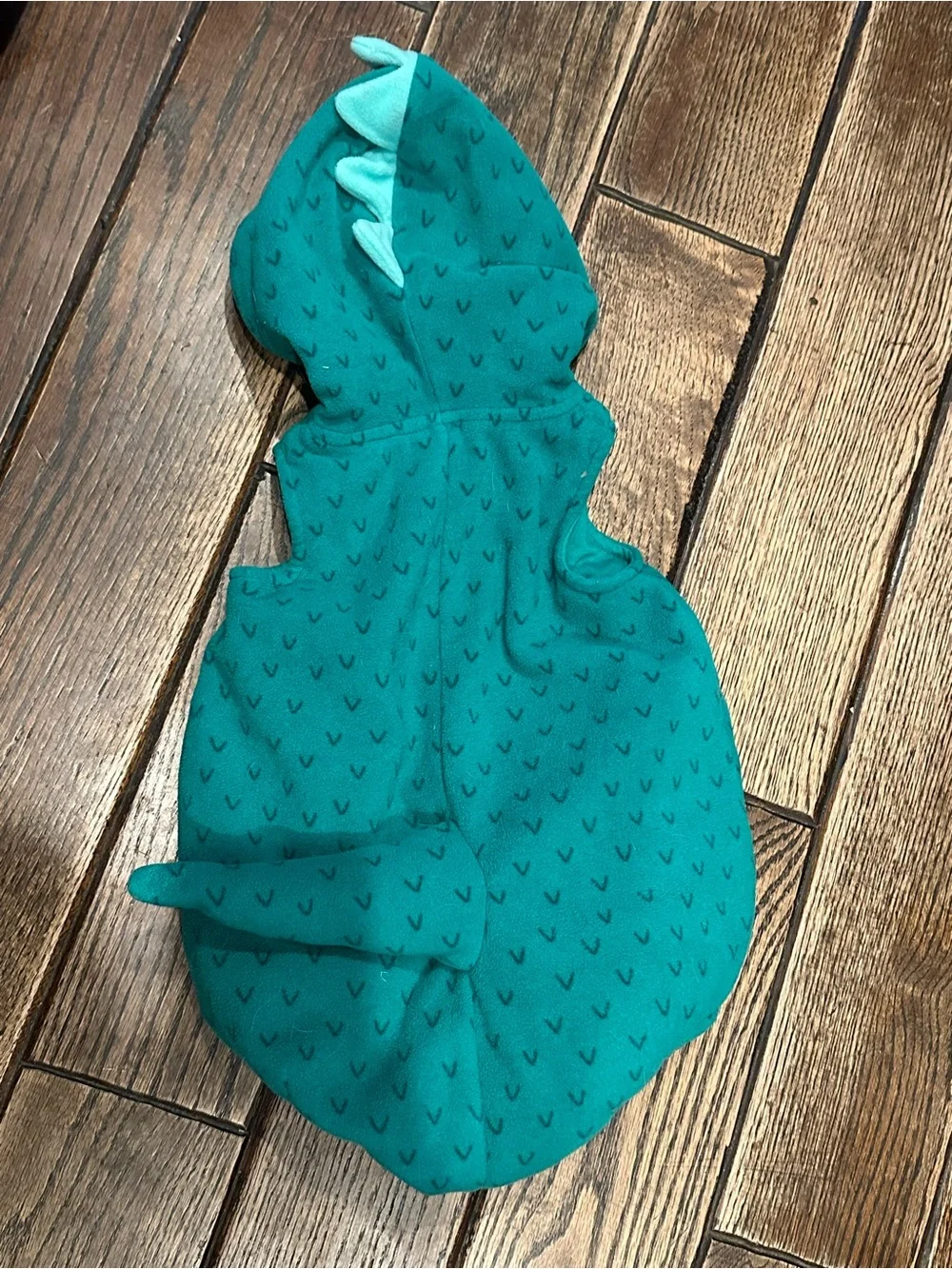 18m Dino Costume